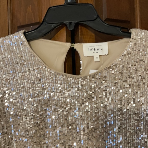 Bohme Blush/Nude sparkle dress. NWT- medium - Picture 4 of 7
